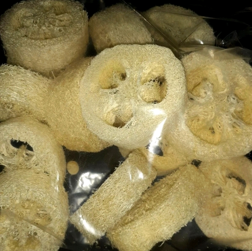 Loofah Slices